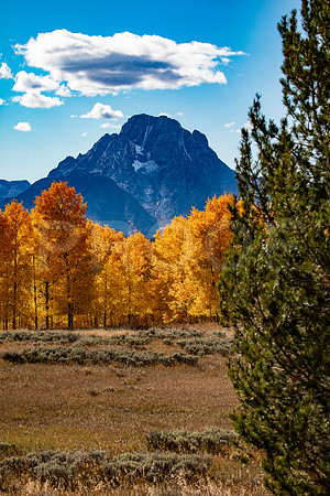 Grand Tetons National Park in Fall