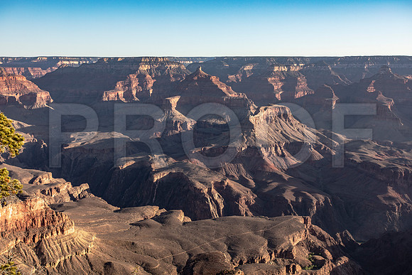 Grand Canyon National Park 4
