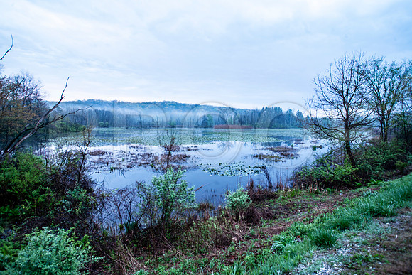 Swamp at Dawn, Cuyahoga National Park, OH