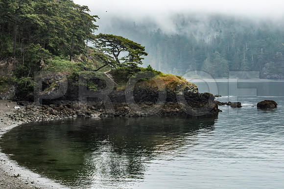 Olympic Pennisula Coastline