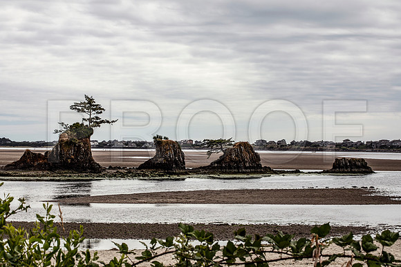 D River Beach Wayside, Lincoln City, OR