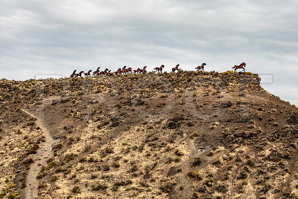 Wild Horse Monument