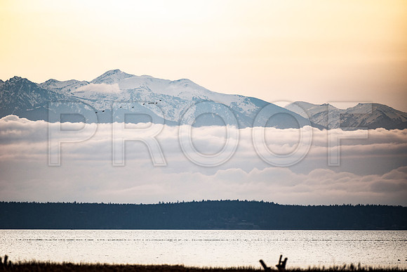 Puget Sound and Olympic Mountains, WA 3