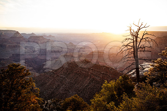 Zion National Park Sunrise 2