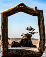 D River Beach Wayside, Lincoln City, OR - 3