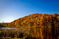 Fall Trees with Reflection