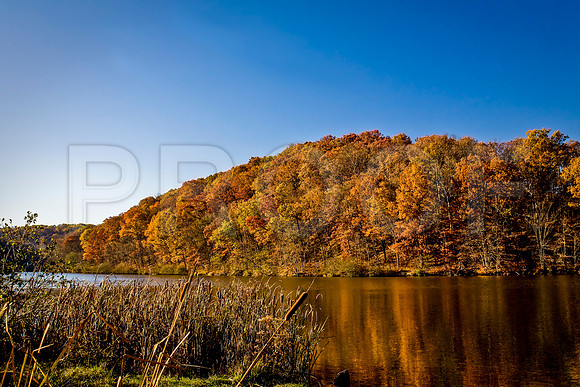 Fall Trees with Reflection