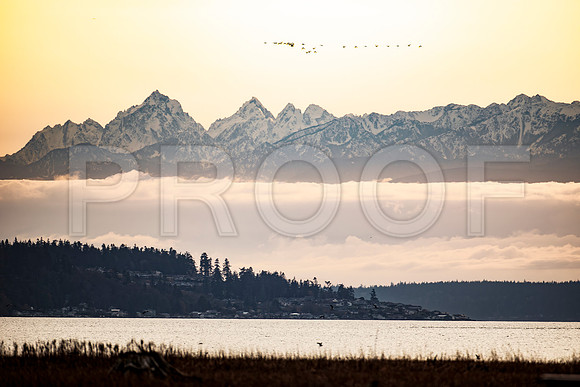 Puget Sound and Olympic Mountains, WA