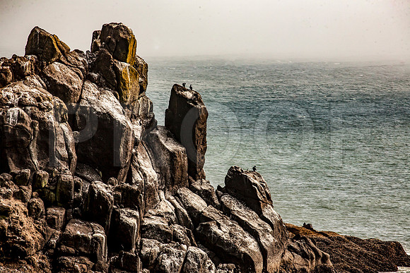Yaquina Head Outstanding Natural Area, OR - 2