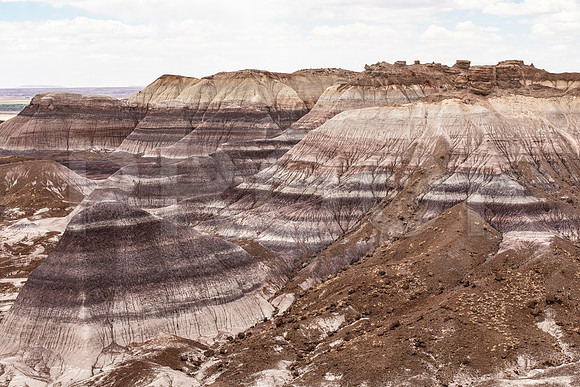Painted Dessert National Park 4
