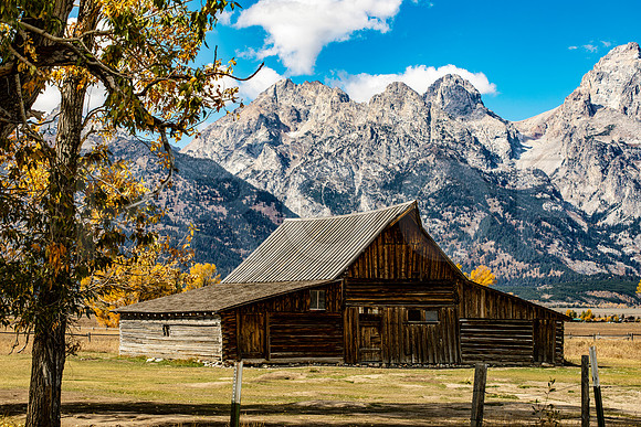 T.A. Moulton Barn in Fall, Grand Tetons National Park