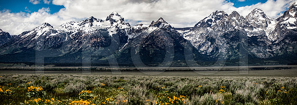 Grand Tetons National Park Panarama