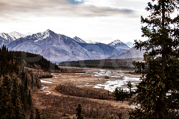 Denali National Park, AK - 6
